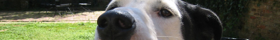 In The Future header image 2